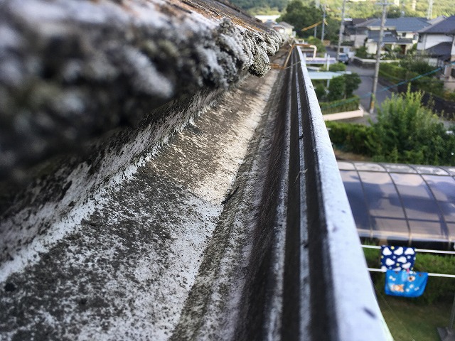 各務原市でカラーベスト屋根の雨樋付近を調査、苔が付着しており早めのメンテナンスが推奨される状態